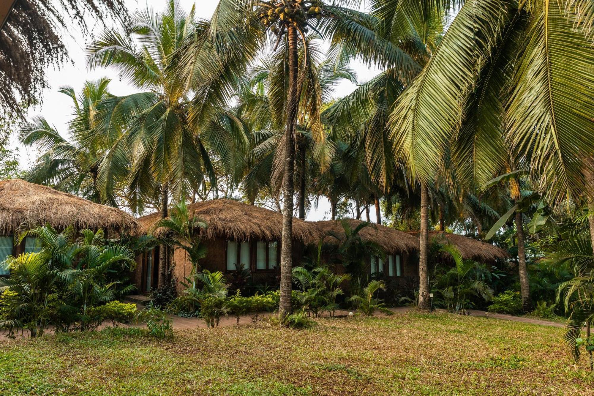 Anahata Retreat Beach Front Ashwem Goa Mandrem Exterior photo